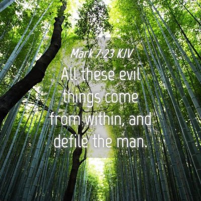 Picture 04 - Mark 7:23 KJV - All these evil things come from within, and - Bible Verse Picture