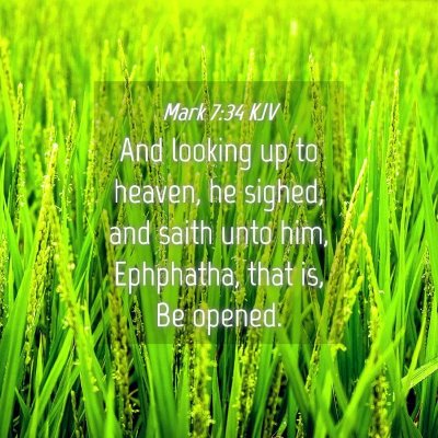 Picture 04 - Mark 7:34 KJV - And looking up to heaven, he sighed, and saith - Bible Verse Picture