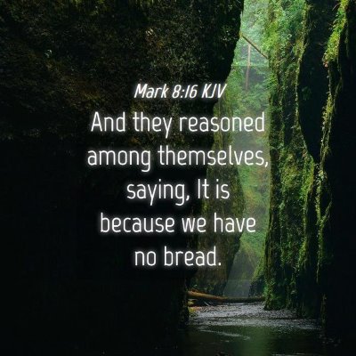 Picture 04 - Mark 8:16 KJV - And they reasoned among themselves, saying, It is - Bible Verse Picture