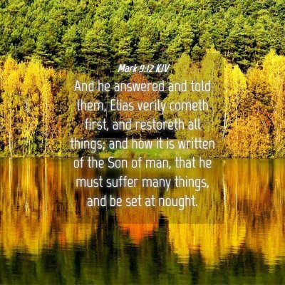 Picture 04 - Mark 9:12 KJV - And he answered and told them, Elias verily - Bible Verse Picture