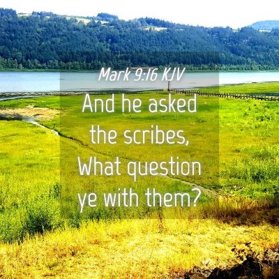 Picture 04 - Mark 9:16 KJV - And he asked the scribes, What question ye with - Bible Verse Picture