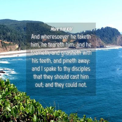 Picture 04 - Mark 9:18 KJV - And wheresoever he taketh him, he teareth him: - Bible Verse Picture