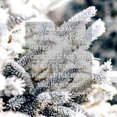 Picture 04 - Mark 9:26 KJV - And the spirit cried, and rent him sore, and came - Bible Verse Picture