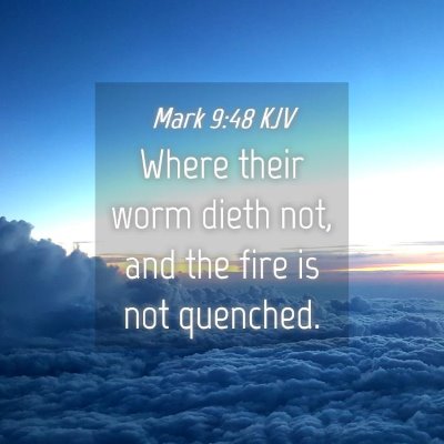 Picture 04 - Mark 9:48 KJV - Where their worm dieth not, and the fire is not - Bible Verse Picture
