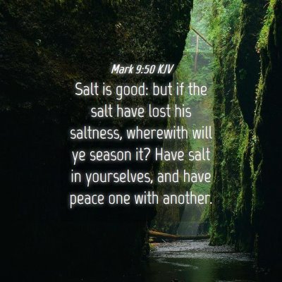 Picture 04 - Mark 9:50 KJV - Salt is good: but if the salt have lost his - Bible Verse Picture