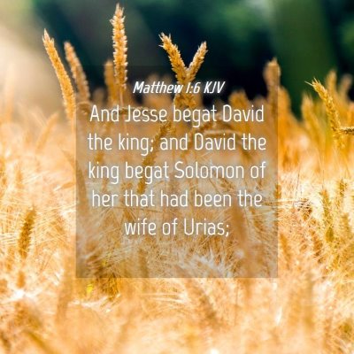 Picture 04 - Matthew 1:6 KJV - And Jesse begat David the king; and David the - Bible Verse Picture
