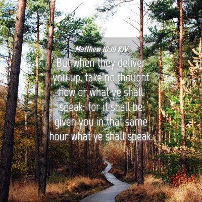 Picture 04 - Matthew 10:19 KJV - But when they deliver you up, take no thought how - Bible Verse Picture