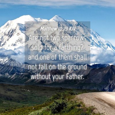Picture 04 - Matthew 10:29 KJV - Are not two sparrows sold for a farthing? and one - Bible Verse Picture