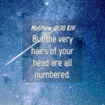 Picture 04 - Matthew 10:30 KJV - But the very hairs of your head are all - Bible Verse Picture