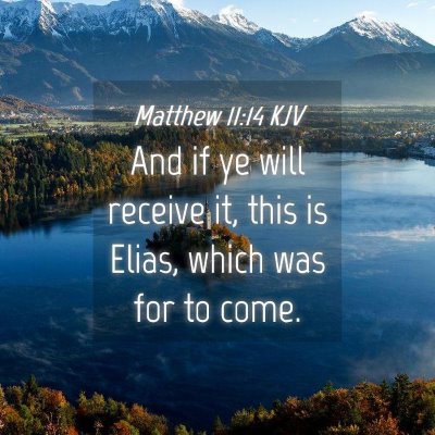 Picture 04 - Matthew 11:14 KJV - And if ye will receive it, this is Elias, which - Bible Verse Picture