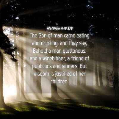 Picture 04 - Matthew 11:19 KJV - The Son of man came eating and drinking, and they - Bible Verse Picture