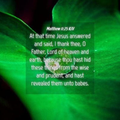 Picture 04 - Matthew 11:25 KJV - At that time Jesus answered and said, I thank - Bible Verse Picture
