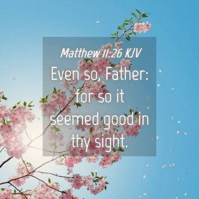 Picture 04 - Matthew 11:26 KJV - Even so, Father: for so it seemed good in thy - Bible Verse Picture