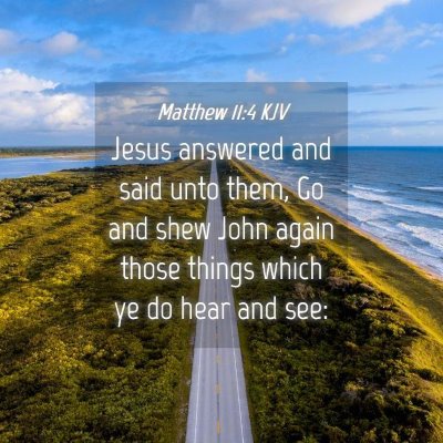 Picture 04 - Matthew 11:4 KJV - Jesus answered and said unto them, Go and shew - Bible Verse Picture