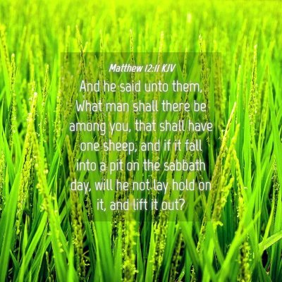 Picture 04 - Matthew 12:11 KJV - And he said unto them, What man shall there be - Bible Verse Picture