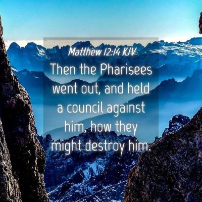 Picture 04 - Matthew 12:14 KJV - Then the Pharisees went out, and held a council - Bible Verse Picture