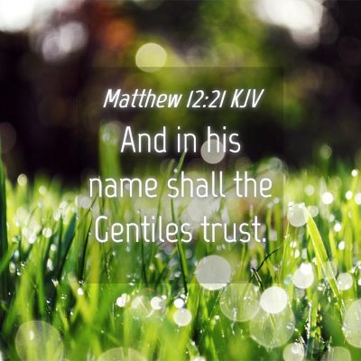 Picture 04 - Matthew 12:21 KJV - And in his name shall the Gentiles - Bible Verse Picture
