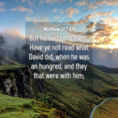 Picture 04 - Matthew 12:3 KJV - But he said unto them, Have ye not read what - Bible Verse Picture