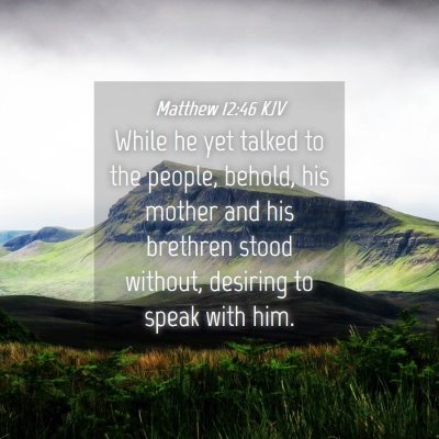 Picture 04 - Matthew 12:46 KJV - While he yet talked to the people, behold, his - Bible Verse Picture