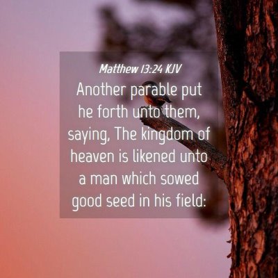 Picture 04 - Matthew 13:24 KJV - Another parable put he forth unto them, saying, - Bible Verse Picture