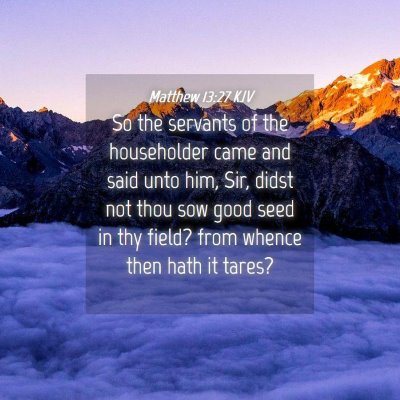 Picture 04 - Matthew 13:27 KJV - So the servants of the householder came and said - Bible Verse Picture