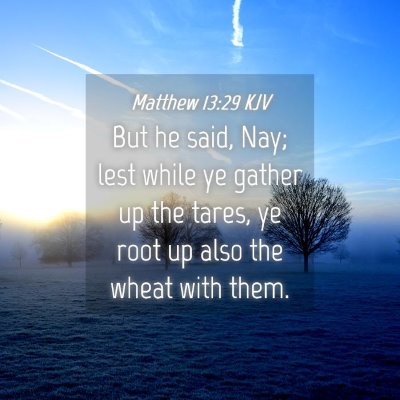 Picture 04 - Matthew 13:29 KJV - But he said, Nay; lest while ye gather up the - Bible Verse Picture