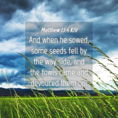 Picture 04 - Matthew 13:4 KJV - And when he sowed, some seeds fell by the way - Bible Verse Picture