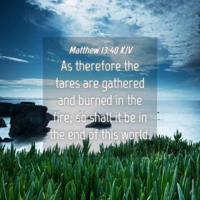 Picture 04 - Matthew 13:40 KJV - As therefore the tares are gathered and burned in - Bible Verse Picture