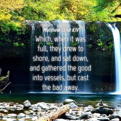 Picture 04 - Matthew 13:48 KJV - Which, when it was full, they drew to shore, and - Bible Verse Picture