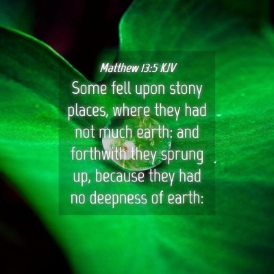 Picture 04 - Matthew 13:5 KJV - Some fell upon stony places, where they had not - Bible Verse Picture