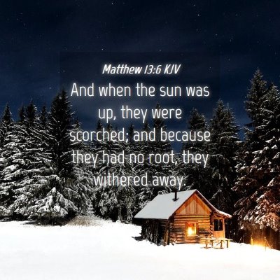 Picture 04 - Matthew 13:6 KJV - And when the sun was up, they were scorched; and - Bible Verse Picture