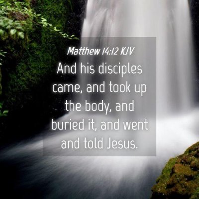 Picture 04 - Matthew 14:12 KJV - And his disciples came, and took up the body, and - Bible Verse Picture
