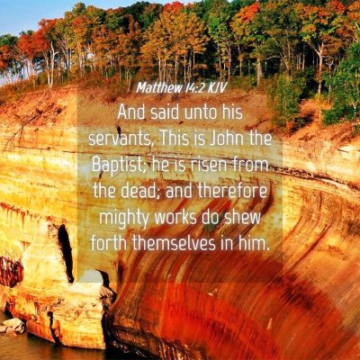 Picture 04 - Matthew 14:2 KJV - And said unto his servants, This is John the - Bible Verse Picture