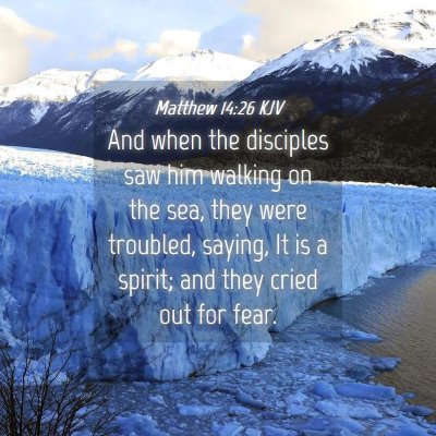 Picture 04 - Matthew 14:26 KJV - And when the disciples saw him walking on the - Bible Verse Picture