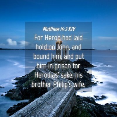 Picture 04 - Matthew 14:3 KJV - For Herod had laid hold on John, and bound him, - Bible Verse Picture