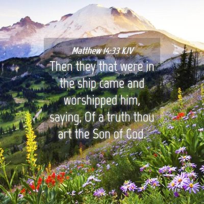 Picture 04 - Matthew 14:33 KJV - Then they that were in the ship came and - Bible Verse Picture