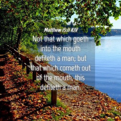 Picture 04 - Matthew 15:11 KJV - Not that which goeth into the mouth defileth a - Bible Verse Picture