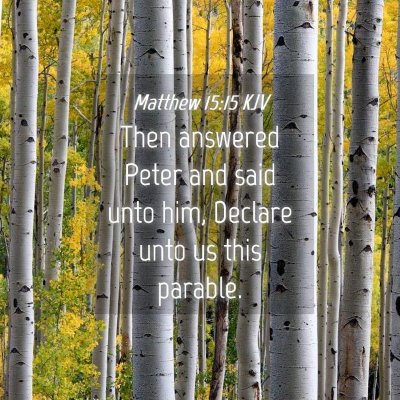Picture 04 - Matthew 15:15 KJV - Then answered Peter and said unto him, Declare - Bible Verse Picture