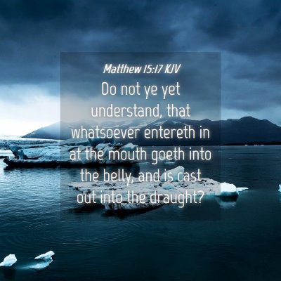 Picture 04 - Matthew 15:17 KJV - Do not ye yet understand, that whatsoever - Bible Verse Picture