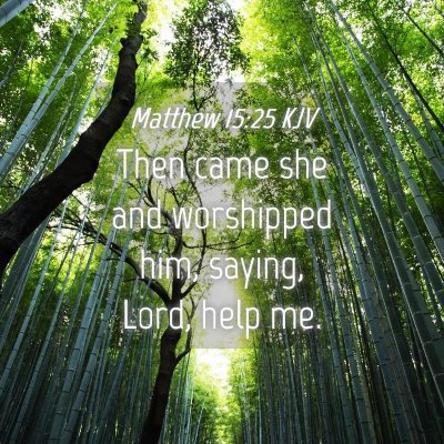 Picture 04 - Matthew 15:25 KJV - Then came she and worshipped him, saying, Lord, - Bible Verse Picture