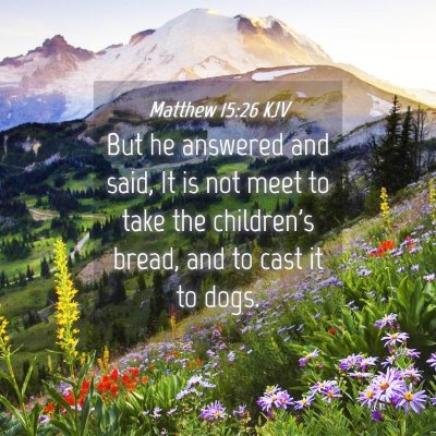 Picture 04 - Matthew 15:26 KJV - But he answered and said, It is not meet to take - Bible Verse Picture