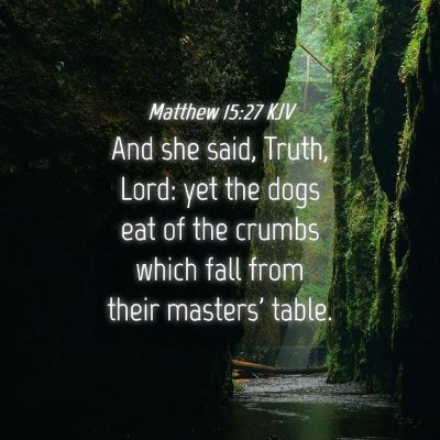 Picture 04 - Matthew 15:27 KJV - And she said, Truth, Lord: yet the dogs eat of - Bible Verse Picture