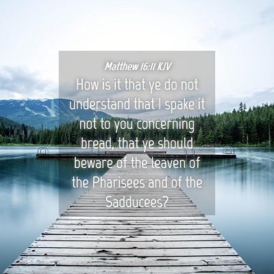 Picture 04 - Matthew 16:11 KJV - How is it that ye do not understand that I spake - Bible Verse Picture