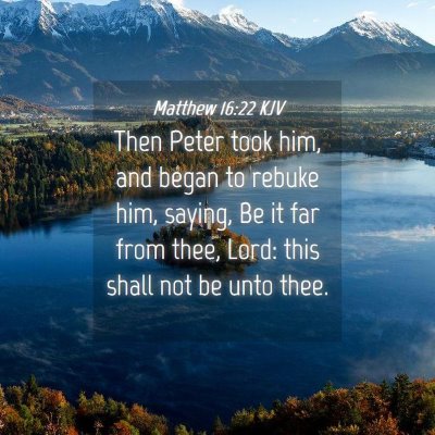 Picture 04 - Matthew 16:22 KJV - Then Peter took him, and began to rebuke him, - Bible Verse Picture