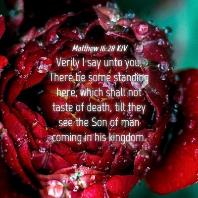 Picture 04 - Matthew 16:28 KJV - Verily I say unto you, There be some standing - Bible Verse Picture