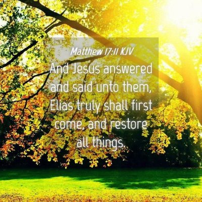 Picture 04 - Matthew 17:11 KJV - And Jesus answered and said unto them, Elias - Bible Verse Picture