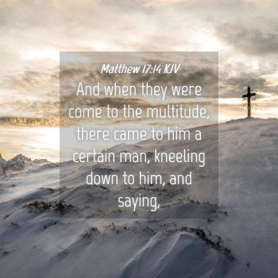 Picture 04 - Matthew 17:14 KJV - And when they were come to the multitude, there - Bible Verse Picture