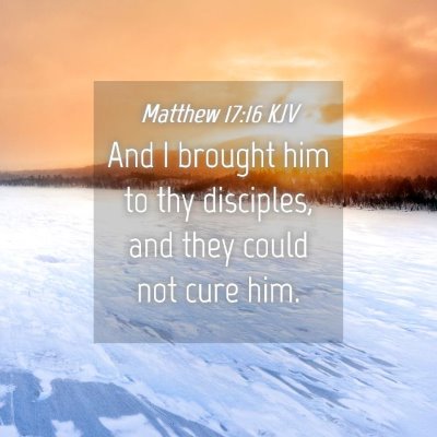 Picture 04 - Matthew 17:16 KJV - And I brought him to thy disciples, and they - Bible Verse Picture