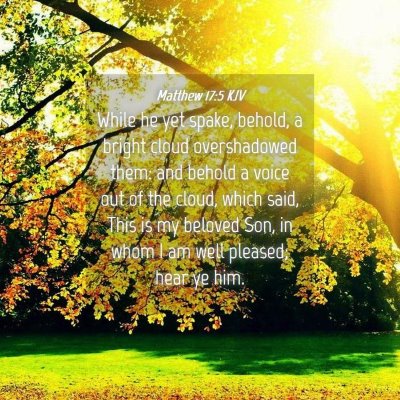 Picture 04 - Matthew 17:5 KJV - While he yet spake, behold, a bright cloud - Bible Verse Picture