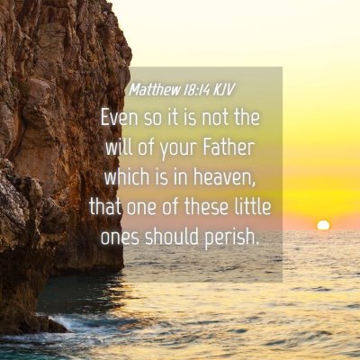 Picture 04 - Matthew 18:14 KJV - Even so it is not the will of your Father which - Bible Verse Picture